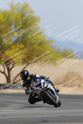 media/Apr-12-2025-Race Pace (Sat) [[9230add55f]]/Vested/6-Turn 4 Tree of Life (115pm)/